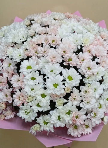 Монобукет из хризантем &laquo;Для любимой девушки&raquo; от интернет-магазина цветов в 