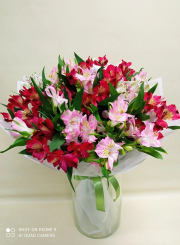 Монобукет &laquo;Альстромерия&raquo; от интернет-магазина цветов в 