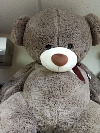 Мягкая игрушка «Мишка Тедди -купи меня» 180см от интернет-магазина «» в 