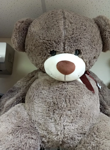 Мягкая игрушка &laquo;Мишка Тедди -купи меня&raquo; 180см от интернет-магазина цветов в 